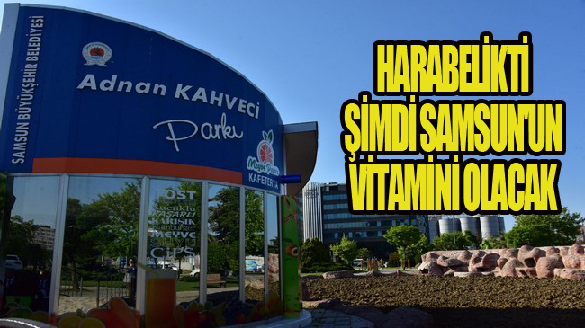 Samsun Büyükşehir'den Doğal Vitamin Deposu!