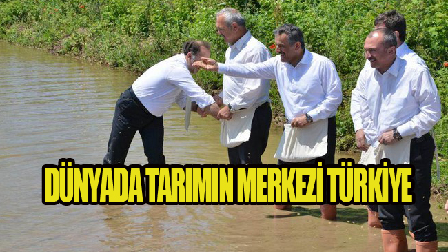 ‘Geleneksel Çeltik Ekim Günü’ Samsun’da Gerçekleşti!