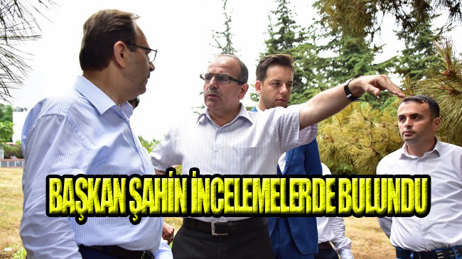 Amisos Tepesi Yangınının Sebebi Araştırılıyor!