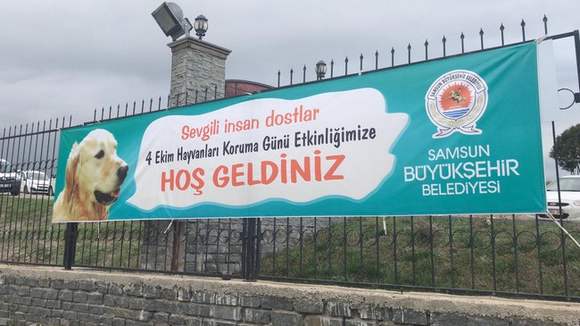 Büyükşehirden Dünya Hayvanları Koruma Günü Etkinliği!