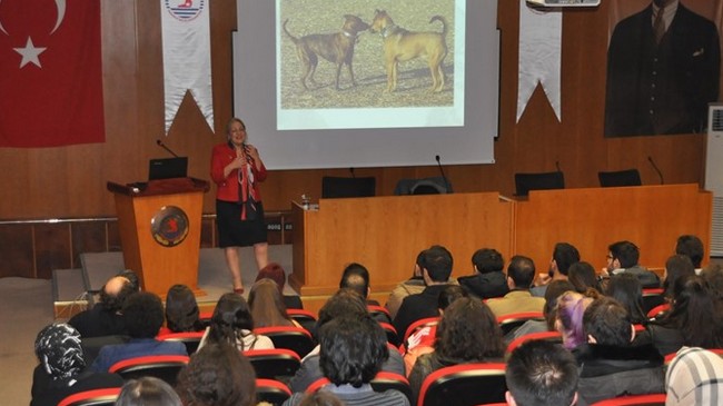 Kedi ve Köpek Davranış Bozukluklarının Nedenleri İrdelendi!