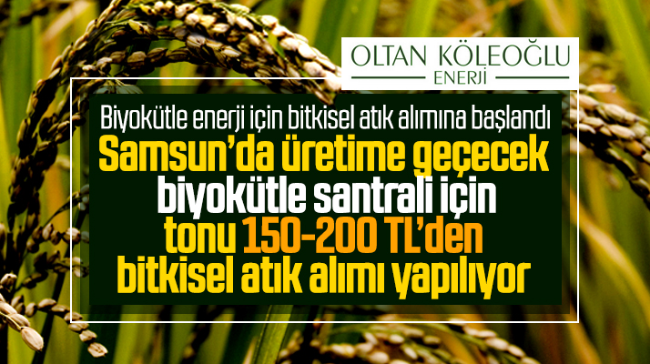 Biyokütle Enerji İçin Bitkisel Atık Alımına Başlandı!