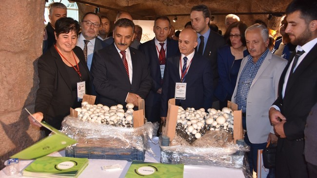 Yemeklik Mantar Kongresi Samsun’da Başladı!