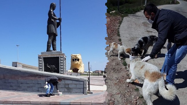 Samsun’da Sokak Hayvanları İçin Aralıksız Mesai!