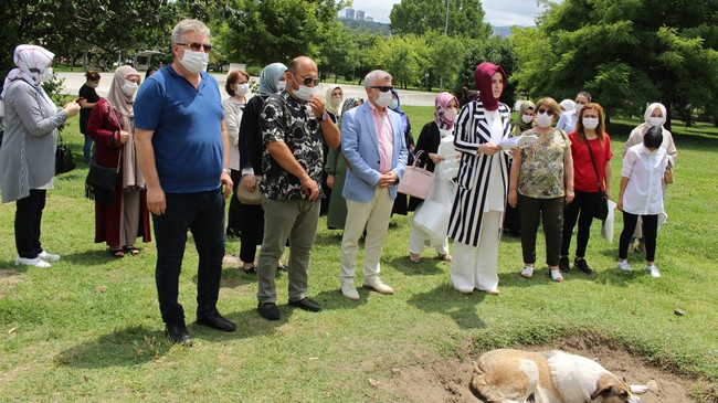 AK Kadınlardan Samsun’da Sokak Hayvanları Farkındalığı! - VİDEOLU