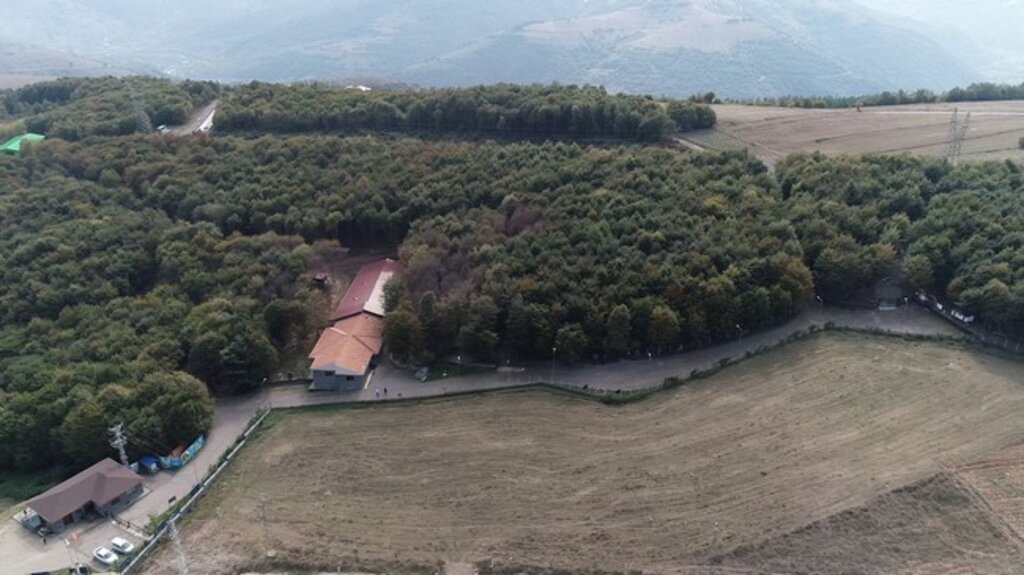 6 ayda 360 kedi ve köpeğin tedavisi yapıldı!