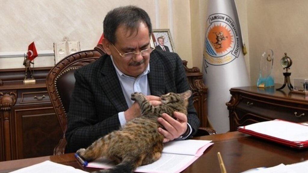 Samsun Büyükşehir Başkanlık Katının Maskotu!