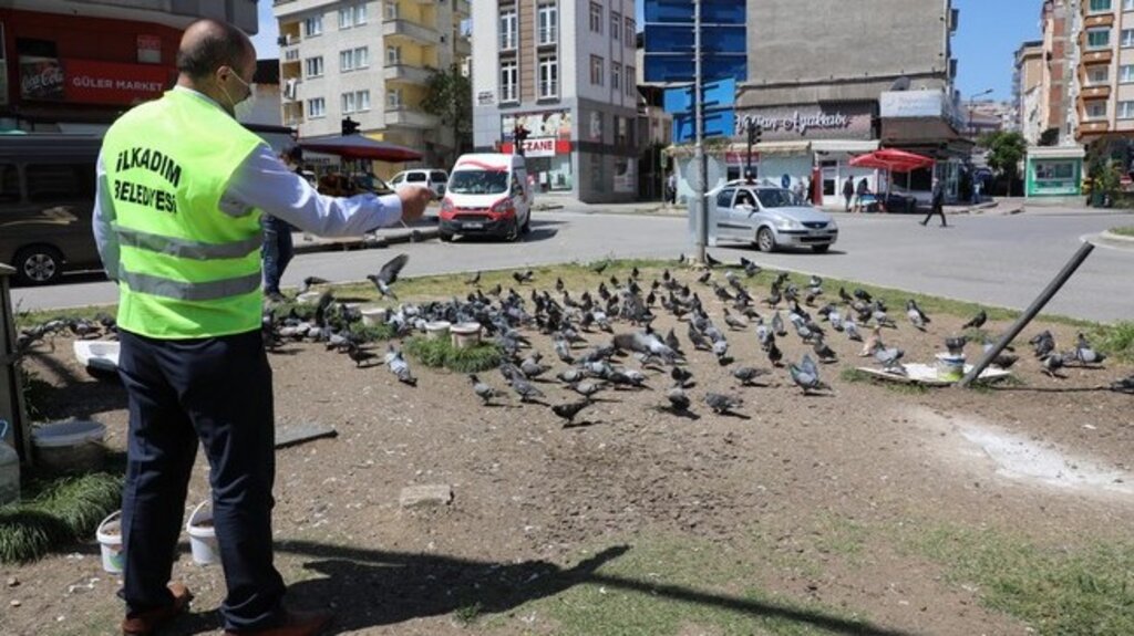 İlkadım’da Hayvan Sevgisine Yasak Yok!