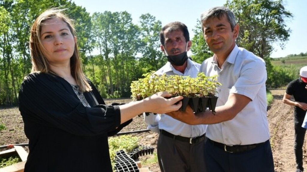 Tıbbi Aromatik Bitki Destekleriyle Samsun Büyükşehir Yeni Bir Dönemi Başlattı!
