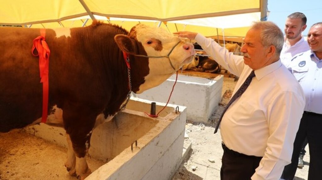 Başkan Demirtaş, ‘Kurbanlarınızı İhtiyaç Sahiplerine Biz Ulaştıralım’!