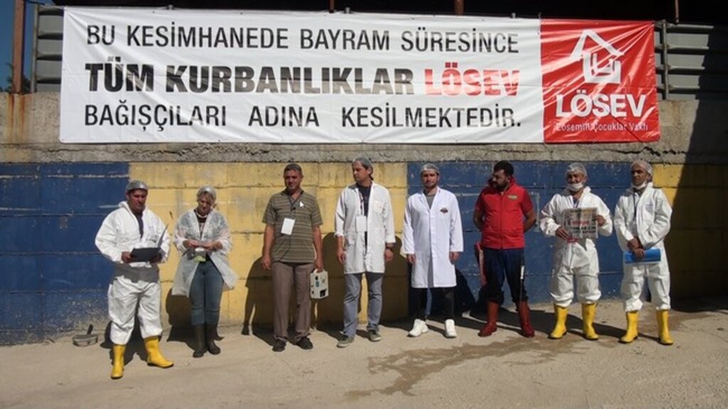 LÖSEV’den Vekâleten Kurban İbadetine İlişkin 9 Soru 9 Cevap!