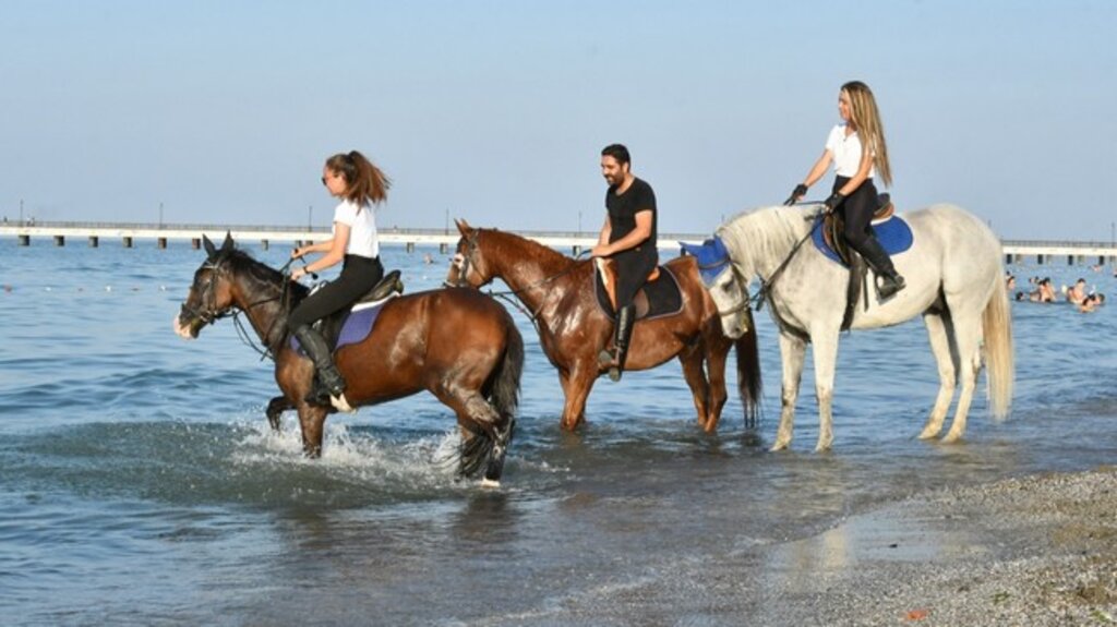 Atların Samsun’da Deniz Keyfi!
