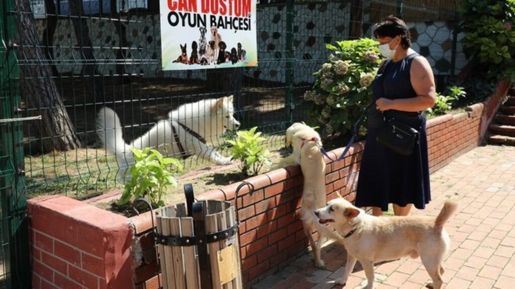 Samsun’da Ki Bu Alan Evcil Hayvanseverlerin Gözdesi Olacak!
