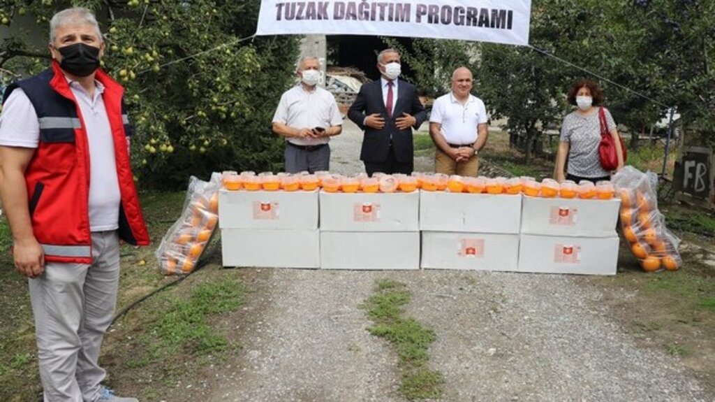 Samsun Büyükşehirden Meyve Üreticilerine Destek!