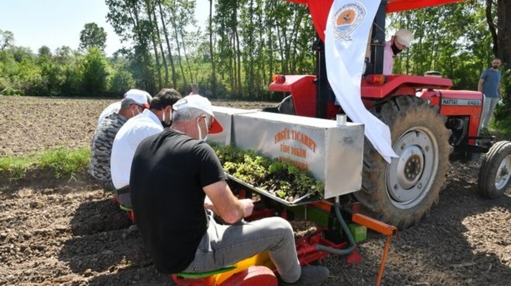 Samsun’da Binlerce Çiftçinin Yüzü Güldü, Üretim Arttı!