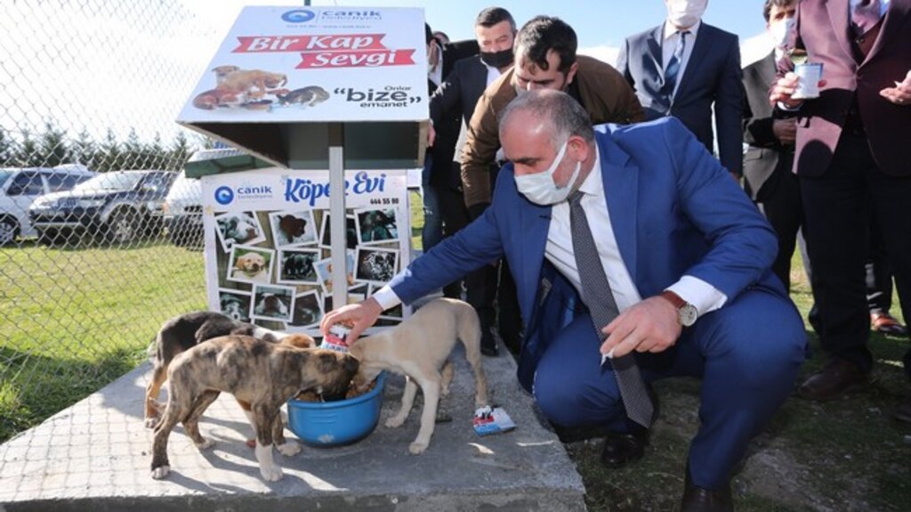 Canik’teki Sokak Hayvanları İçin Çevre Dostu Kulübeler!