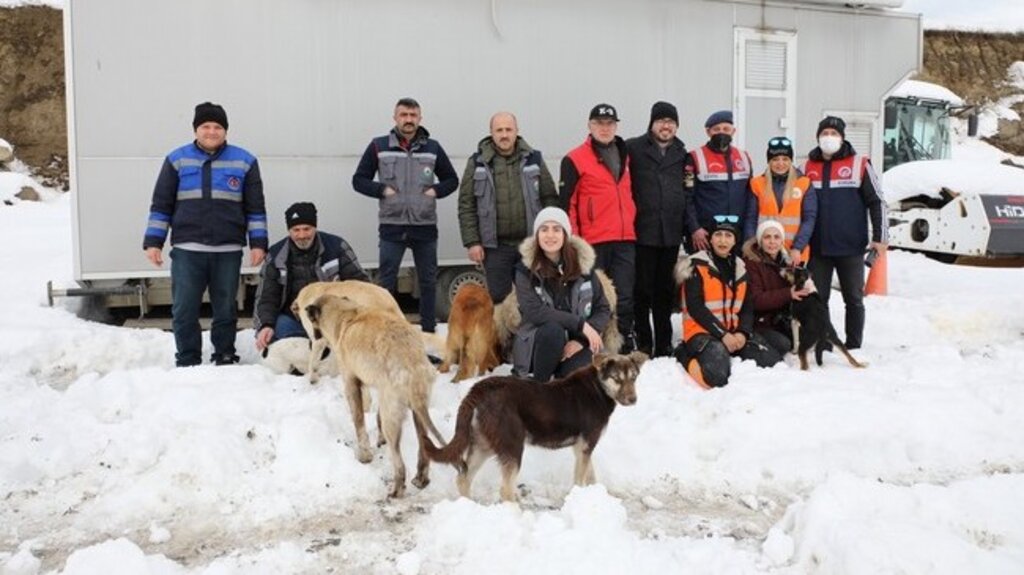 Sessiz Can Dostları Beslemek İçin Samsun’da Seferber Olundu!