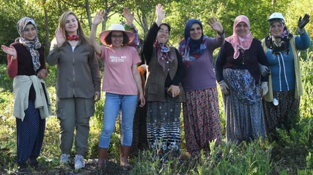İşte Örnek Kadın Çiftçi! Ankara’dan Samsun’a Gelip Tarlaya Girdi…