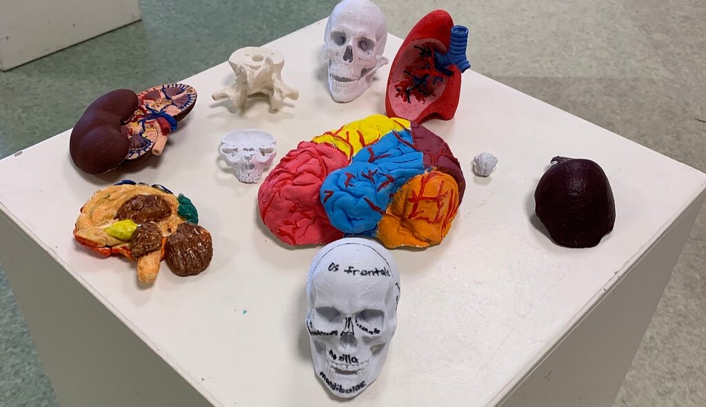 Farklı Maddeler Samsun'da Anatomik Materyallere Dönüştü!