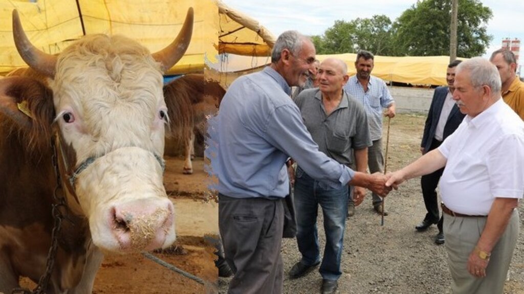 Başkan Demirtaş Kurban Pazarında İncelemelerde Bulundu!