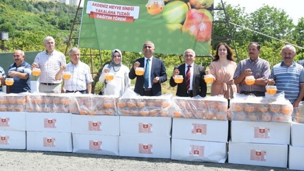 Samsun’da Üreticilere Akdeniz Meyve Sineği Tuzağı Dağıtıldı!