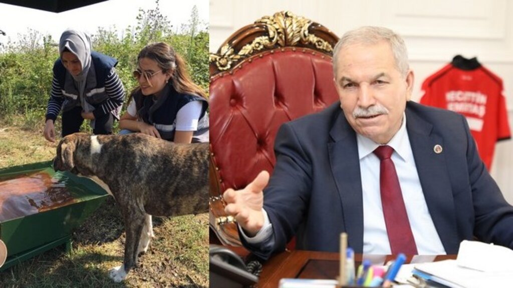 Sıcak Yaz Günlerinde İlkadım’dan Can Dostlarına Su Ve Mama Takviyesi!