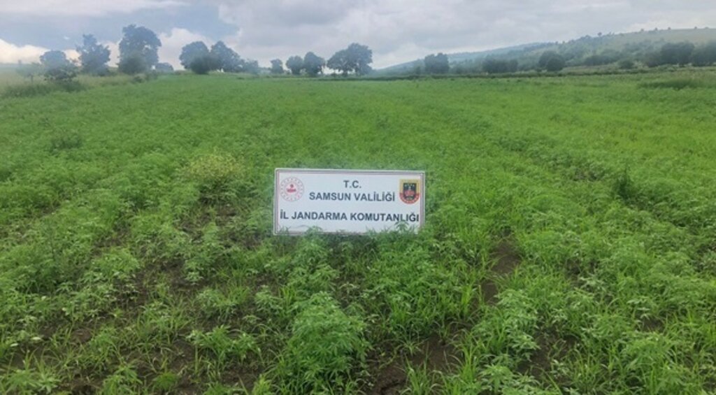 Jandarma Samsun'da Suçlulara Göz Açtırmıyor!