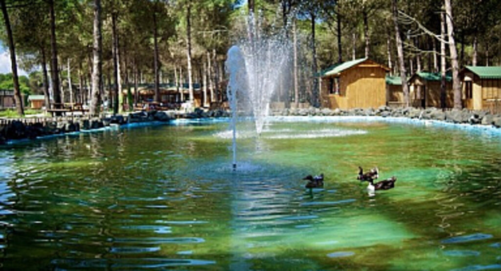 Samsun’da Bir Tabiat Harikası ‘Çarşamba Orman Park’!