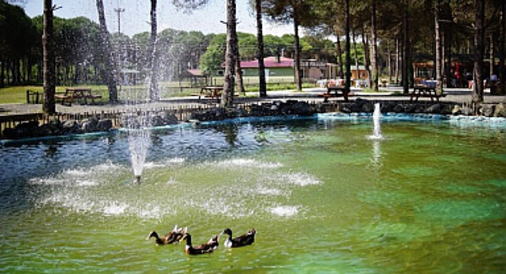 Çarşamba’da Büyük Turizm Hamlesi!