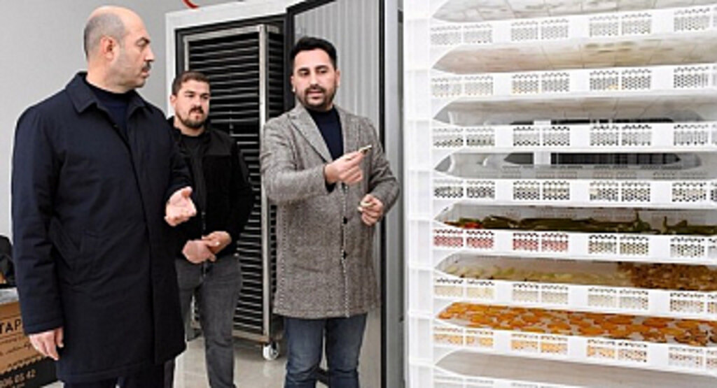 Terme Belediyesi'nden Alternatif Tarıma Öncü Proje!
