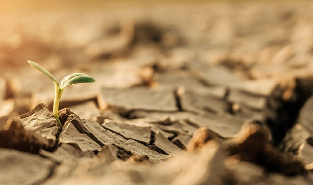 Ülkemizin Yüzde 73.4’ü Çölleşme Tehlikesi Altında!