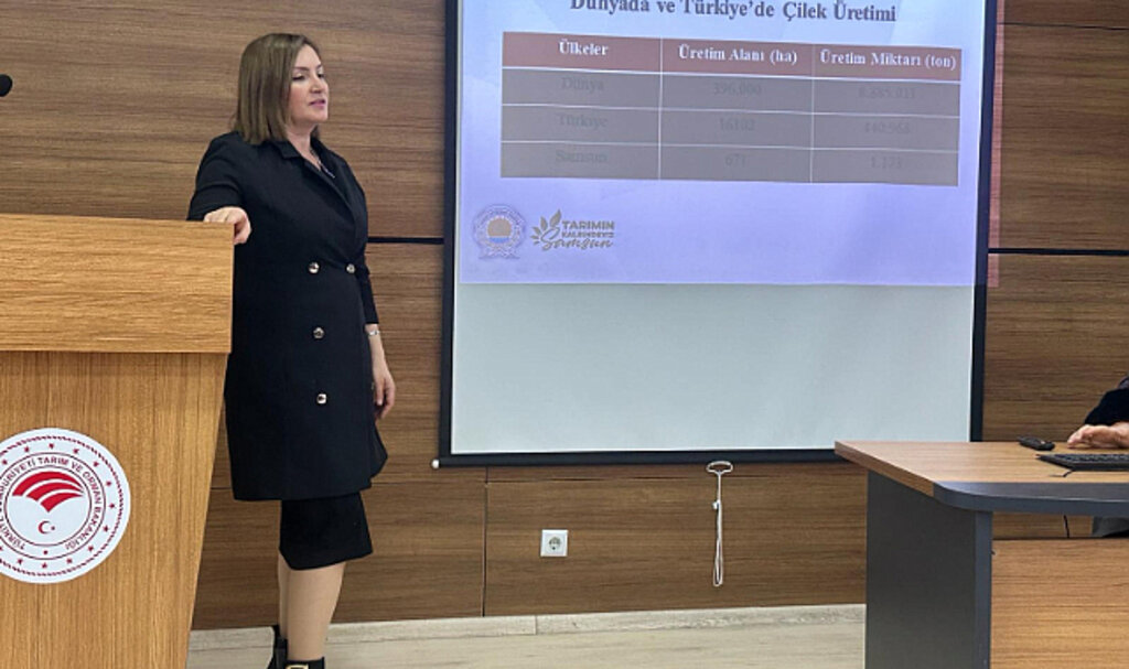 Samsun Büyükşehir'den Çilek Üreticilerine Eğitim!