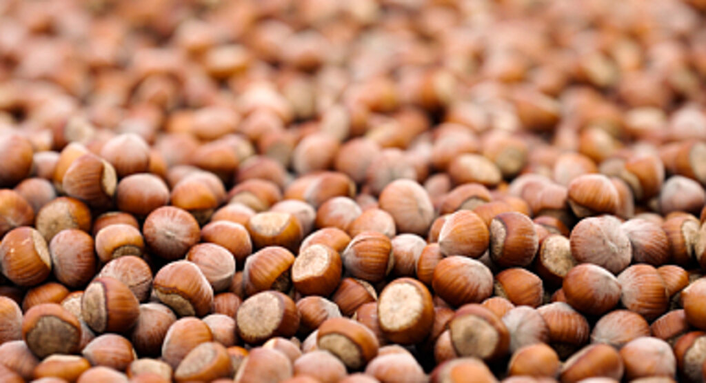 Ferrero, Sürdürülebilir Fındık İçin Kaydettiği Güçlü İlerlemeyi Ve Yeni Dönem Hedeflerini Açıkladı! 