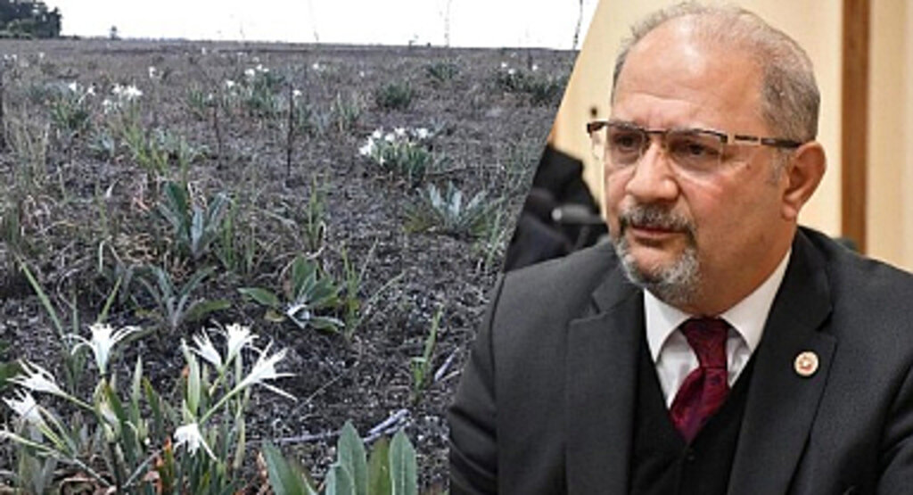Atilla Tekcan'dan Kum Zambakları Katliamına Tepki!