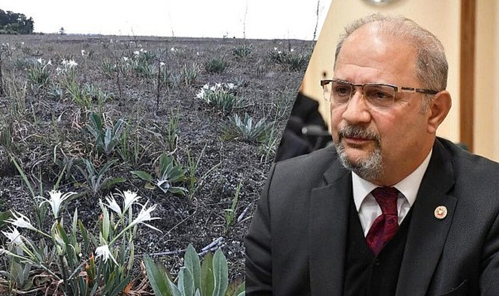 Atilla Tekcan'dan Kum Zambakları Katliamına Tepki!