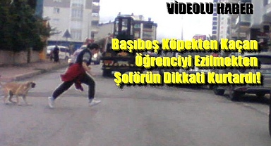 Başıboş Köpekten Kaçan Öğrenciyi Ezilmekten Şoförün Dikkati Kurtardı!