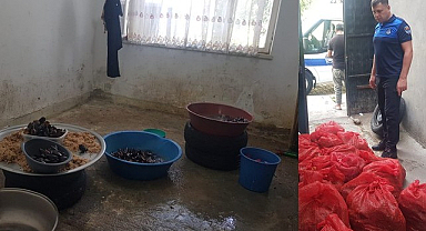 İlkadım Zabıtasından ‘Midye’ Operasyonu!