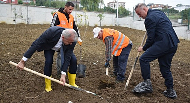 Atakum’daki Okullarda Meyve Ağaçları Yetiştirilecek!