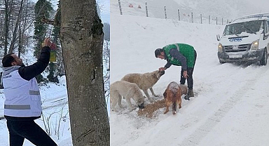 Can Dostların İmdadına Canik Belediyesi Koştu!