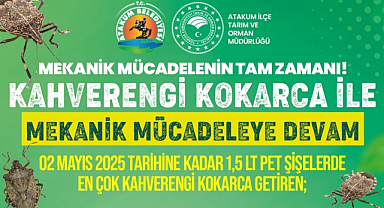Atakum'da Kahverengi Kokarcayla Mücadele Son Hız!