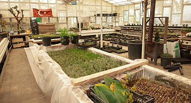 İlkadım'da Aromatik Bitkiler Yaygınlaşıyor!