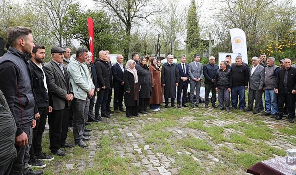 Samsun Büyükşehir’den Çilek Üreticilerine Destek!