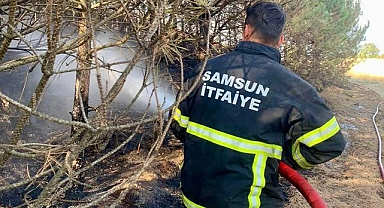 Samsun İtfaiyesi 6 Ayda 263 Orman Ve Anız Yangınına Müdahale Etti!
