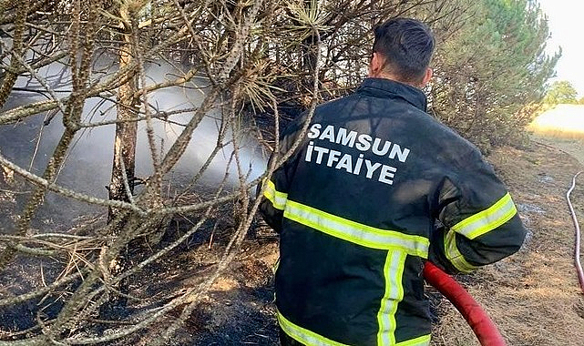 Samsun İtfaiyesi 6 Ayda 263 Orman Ve Anız Yangınına Müdahale Etti!