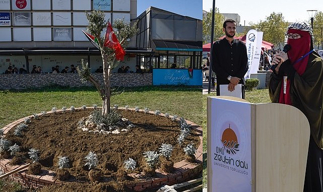 OMÜ’de Filistin İçin ‘Zeytin Ağacı’ Anıtı Dikildi!