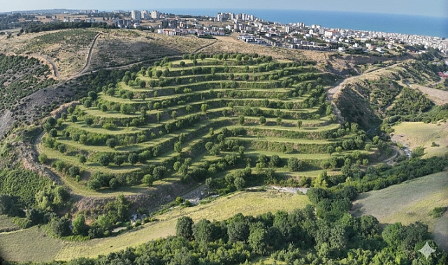 Samsun’da Harifiyatta Dijital Dönüşüm Adım Adım Gerçekleştiriliyor!