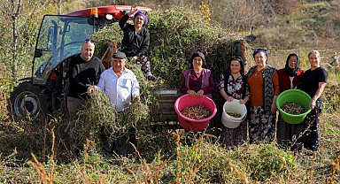 Büyükşehir Belediyesi Tarımsal Üretimle Sosyal Yardımlaşmayı Aynı Noktada Buluşturdu!