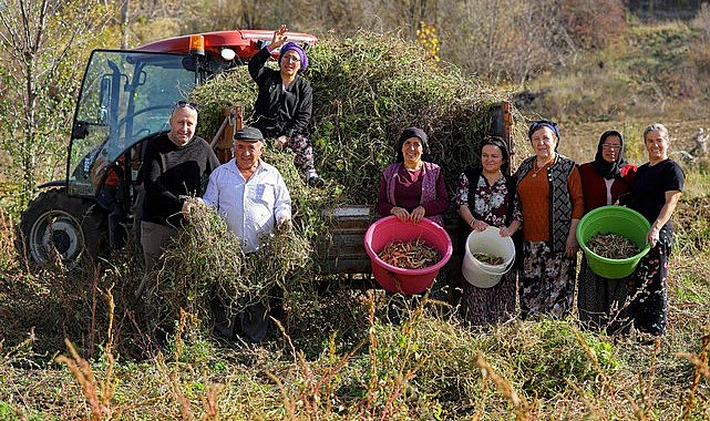 Büyükşehir Belediyesi Tarımsal Üretimle Sosyal Yardımlaşmayı Aynı Noktada Buluşturdu!