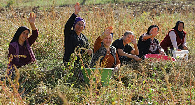 Büyükşehir Belediyesinin Destekleriyle Kırsal Kalkınma Güçleniyor!