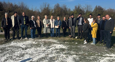 CHP’den Samsun’da ki Köpek Ölümleri İle İlgili İnceleme ve Açıklama!
